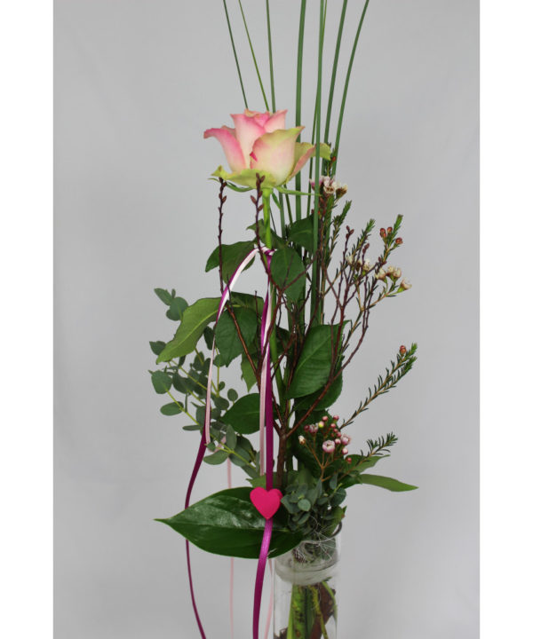 Blume Rose