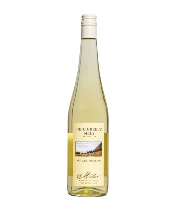 Weisswein Melser Müller Thurgau (Riesling x Sylvaner)