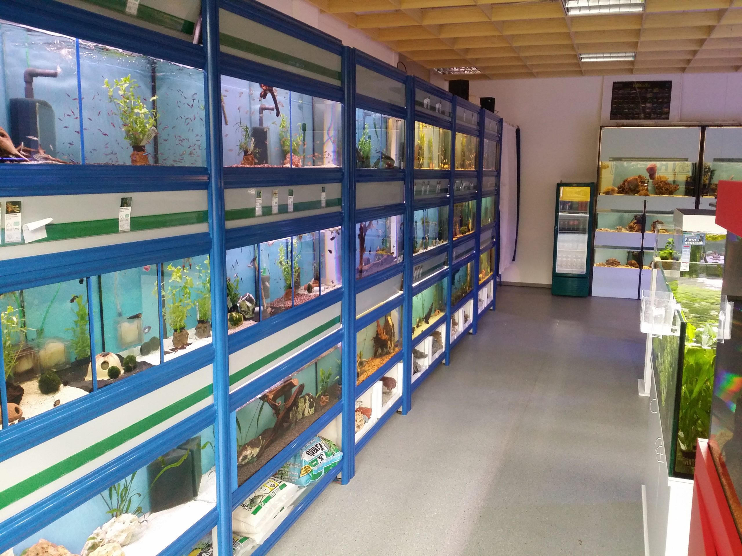 Aquarius Känel GmbH