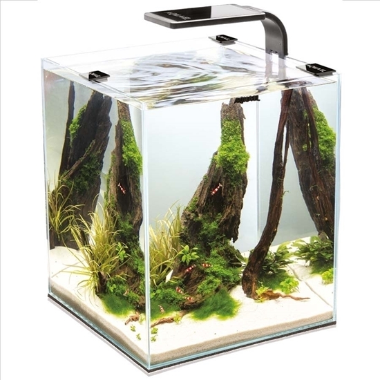 AquaEl Aquarium Shrimp Set 30