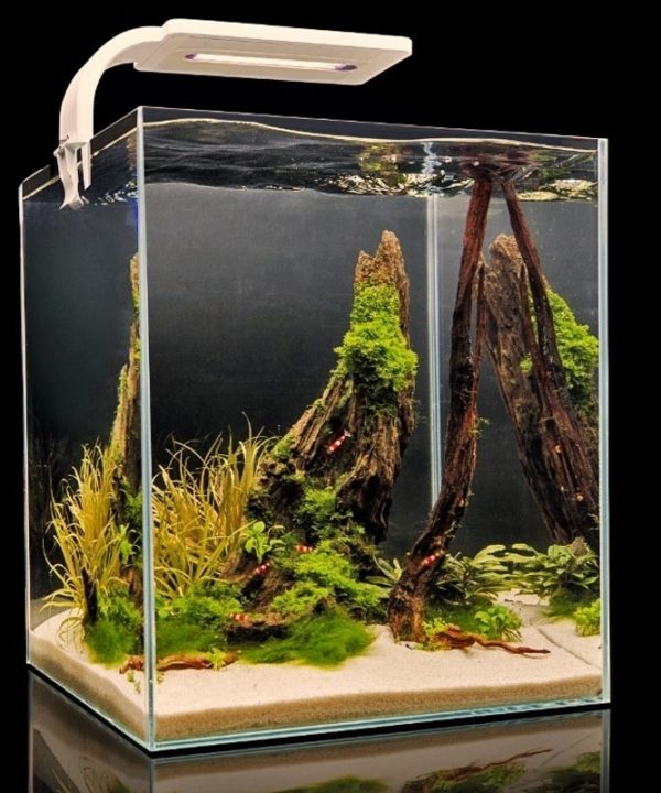 Aquarium Shrimp Set 30